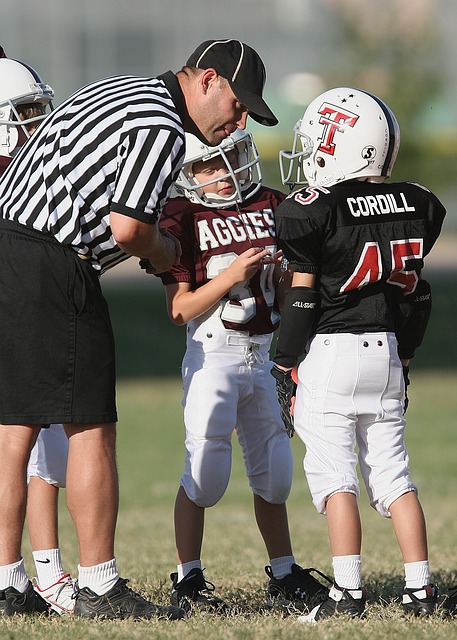 尽管球迷间 尽管球迷间