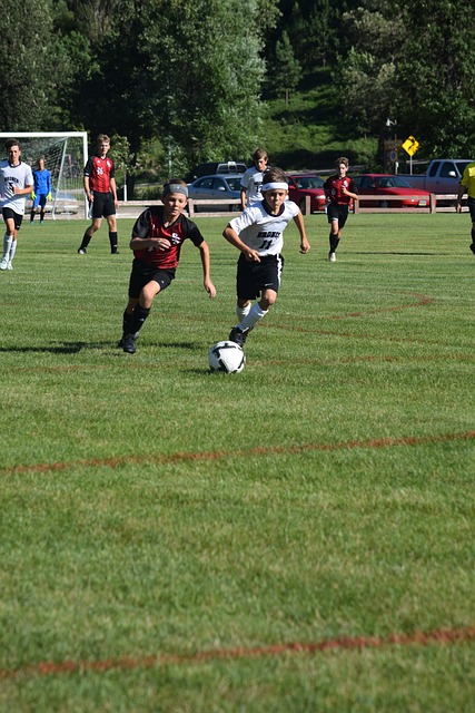 會市場中的 會市場中的