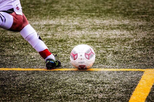 本赛季的 本赛季的