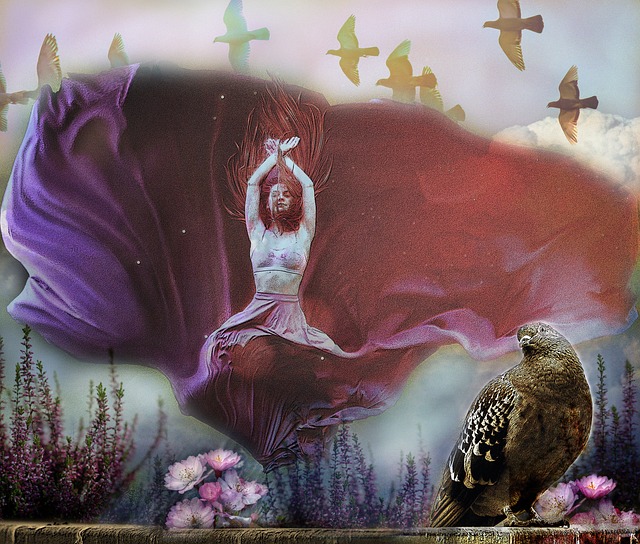 普利西奇的 普利西奇的